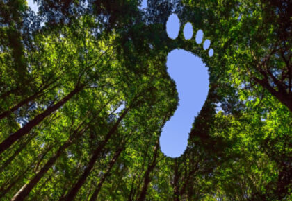 Carbon Footprint CBA
