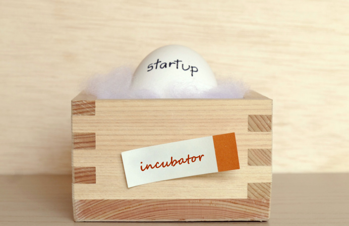Incubator Payments Change Financial